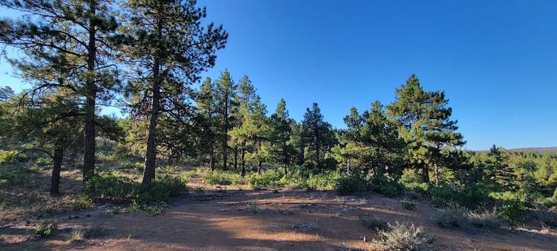 Copy of 20210827_075225