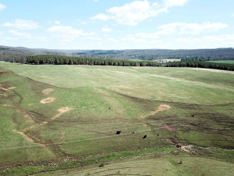 DJI_0013
