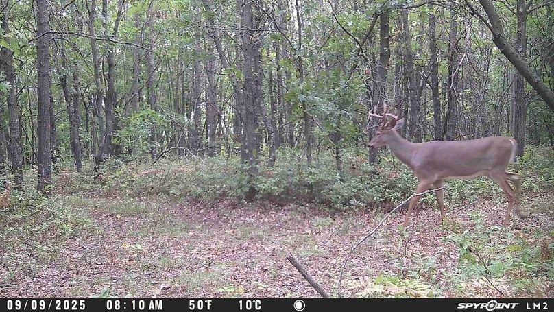 Trailcam10