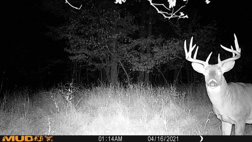 Sauk 174 Trailcam - 58