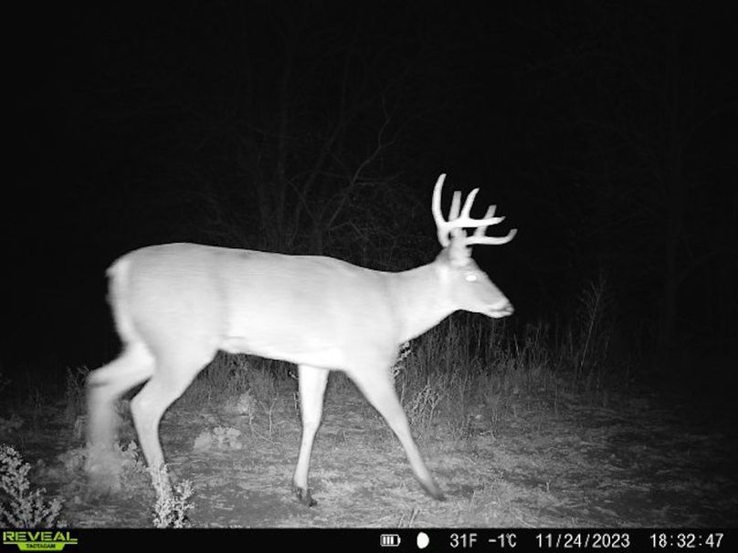 868032067149447-1-4-11242023183248-V-W1004186