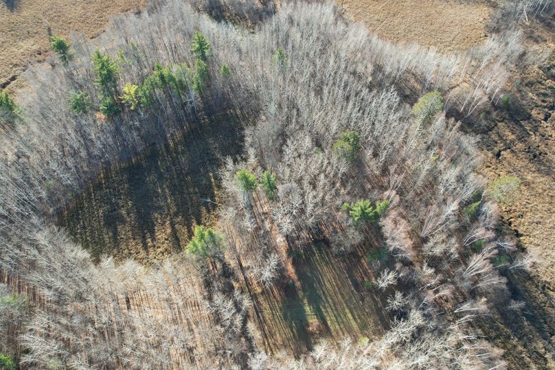 dji_fly_20231113_100616_283_1699892012196_photo