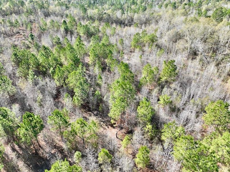 dji_fly_20251128_133216_27_1764354898424_photo