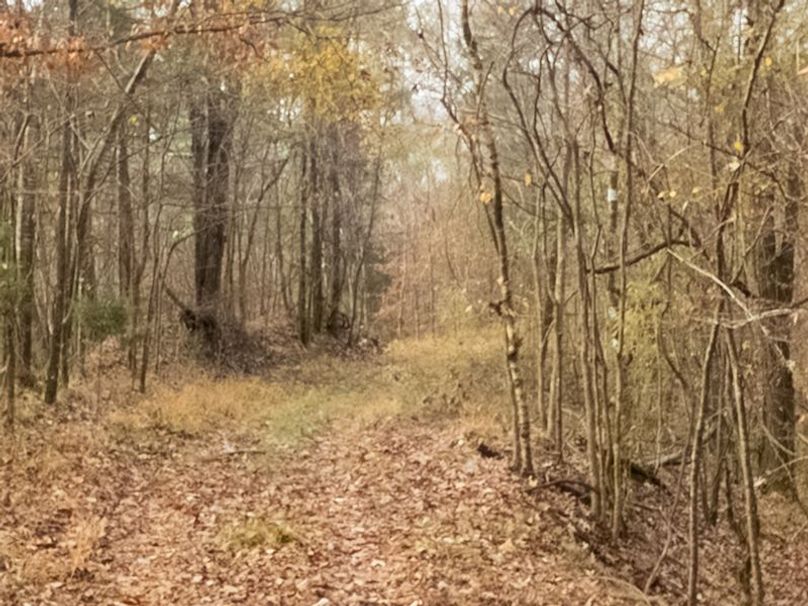 Claiborne Co - 274 - Marian-015