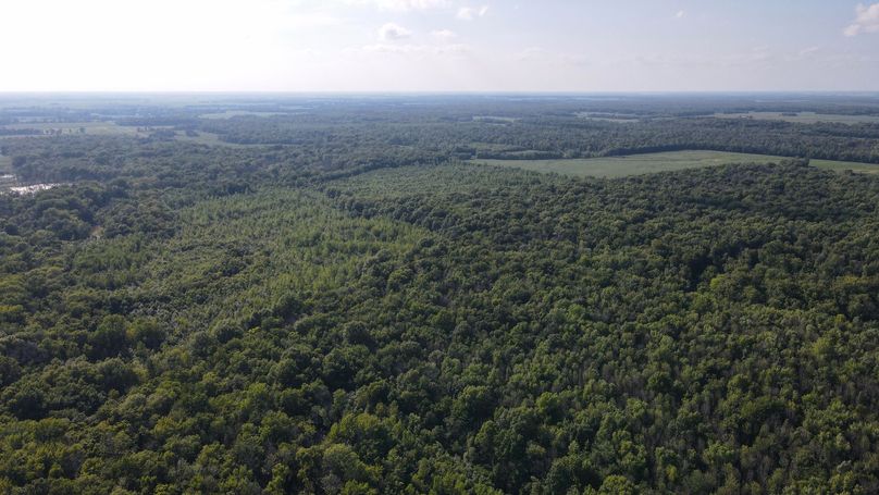 DJI_0595