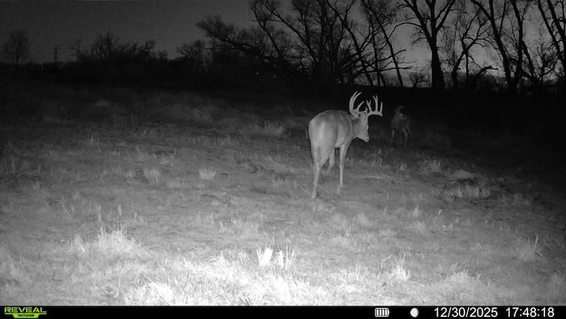 016687000749099-95-4-12302025174818-SYFW04390