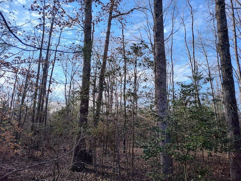 IMG_20260123_150613738_HDR