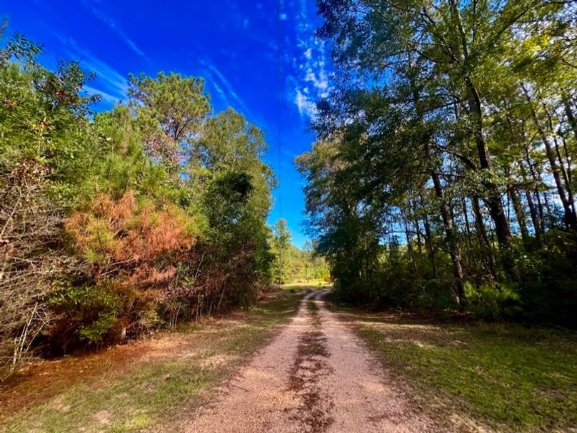 449C22F8-8F73-4E9C-AC8B-0776807D3CC3_1_105_c