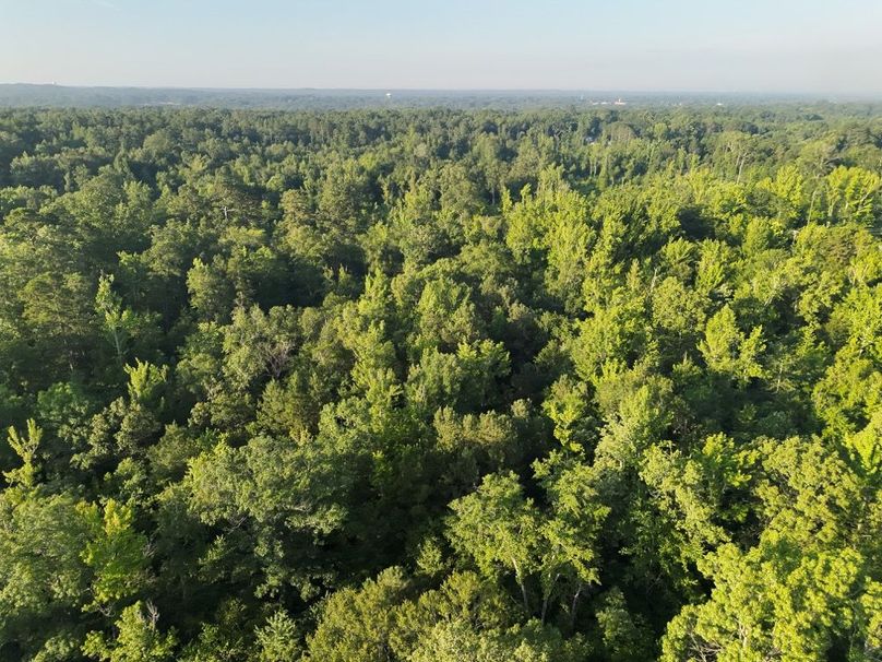 DJI_20250627073056_0046_V