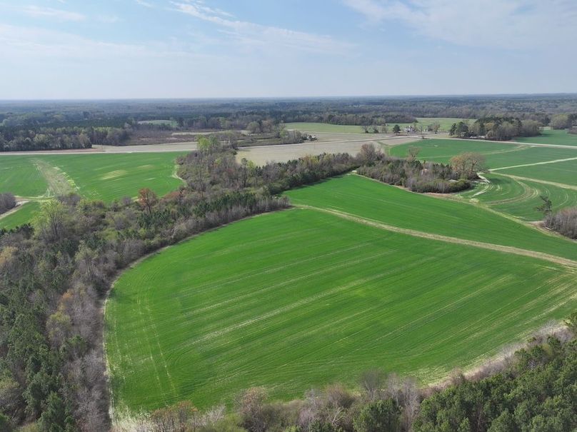 Copy of DJI_20260303064032_0563_D