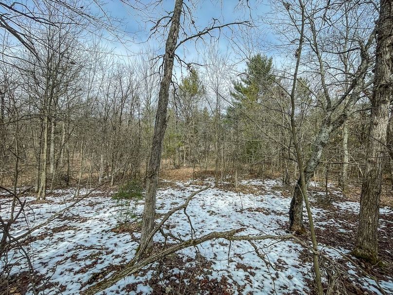 Adams 10.06 Johnson-35