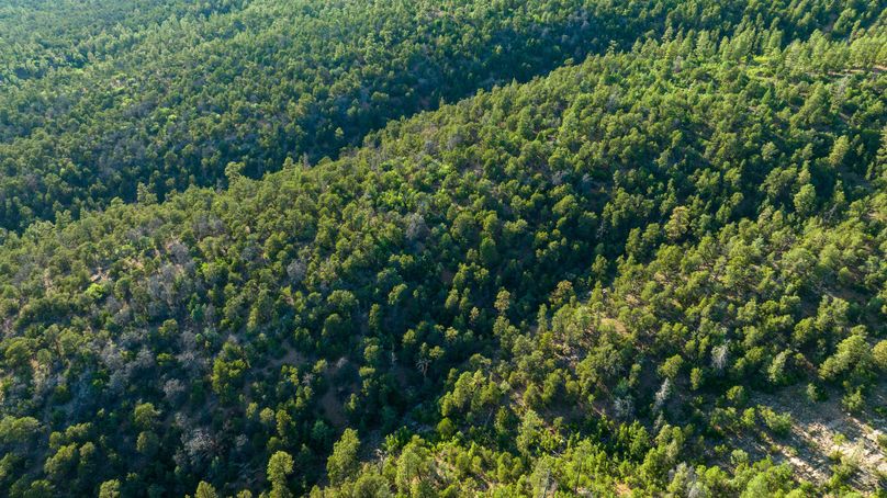 Cibola NM 13,053-0469