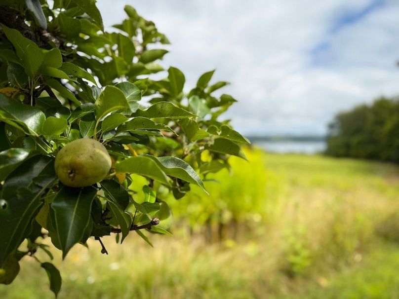 Seneca_65_Engels Photo 38