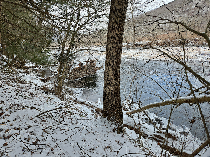 photo_9272a50f-3a68-4041-b5d0-d41f3c90350c