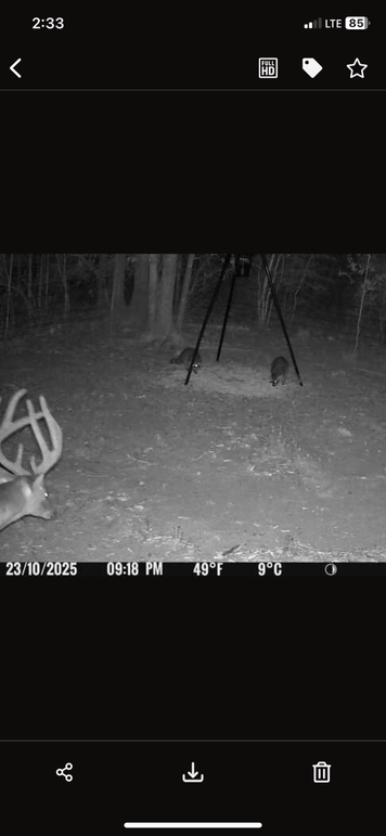 New Trail Cam 7
