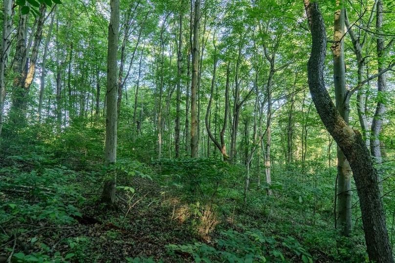 Listing 4-35