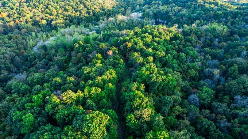 DJI_20251006052324_0031_D