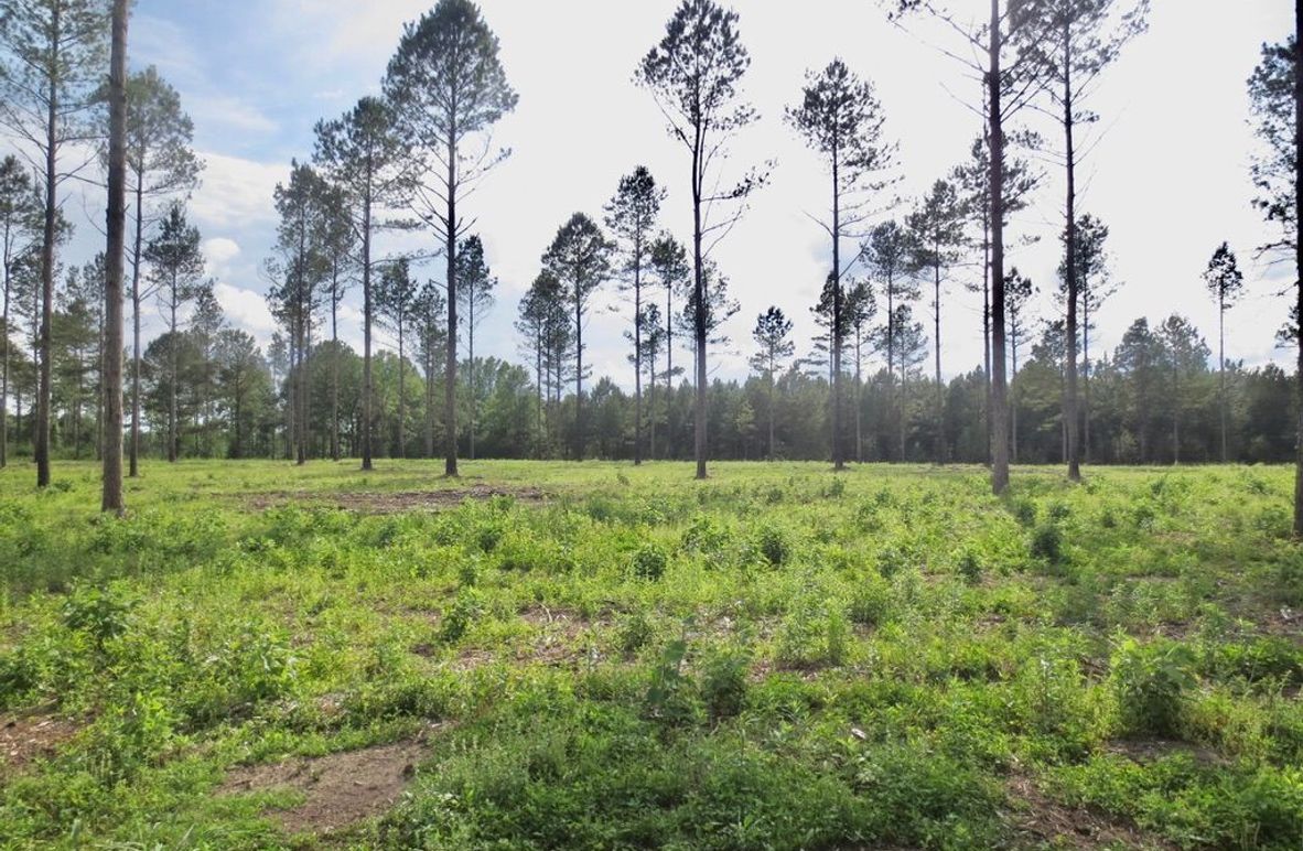 1B9161EE-7DF3-4454-BDF5-249A8B8D5B3E_1_105_c