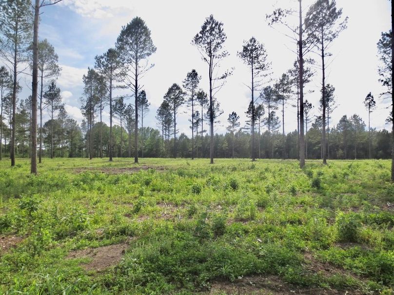 1B9161EE-7DF3-4454-BDF5-249A8B8D5B3E_1_105_c