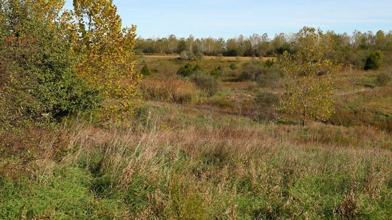 Sequence 07.00_02_32_10.Still145