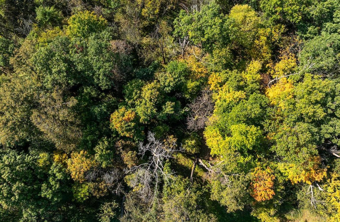 Jo Daviess_Updates_4