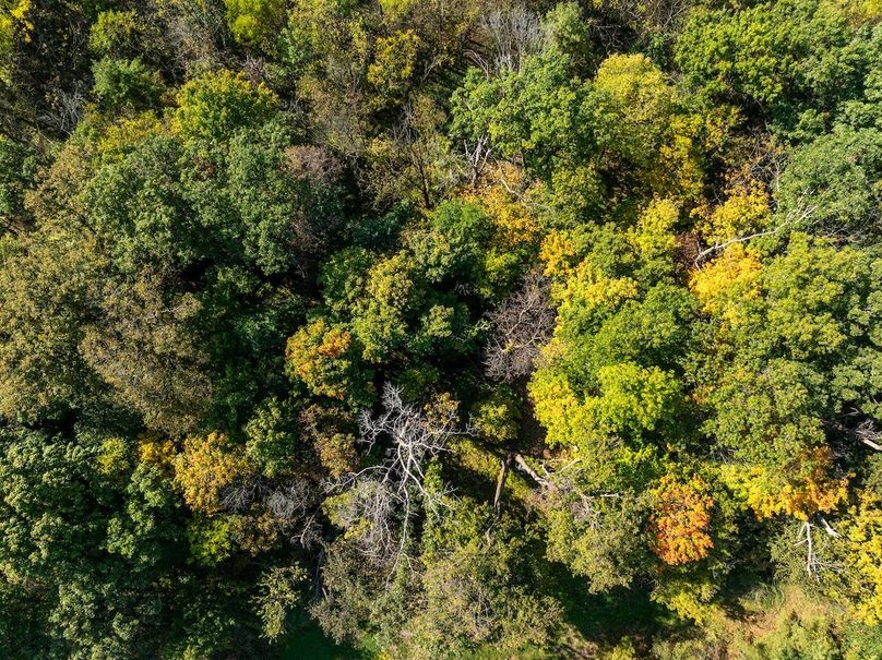 Jo Daviess_Updates_4