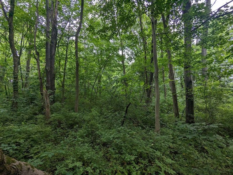 PXL_20240607_190822251