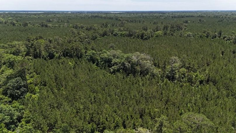 dji_fly_20250528_020452_0046_1748386799693_photo
