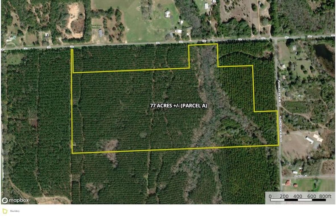 Aerial #1 - 77 Acres - Parcel A - Walton, FL Infinite Velocity Trust