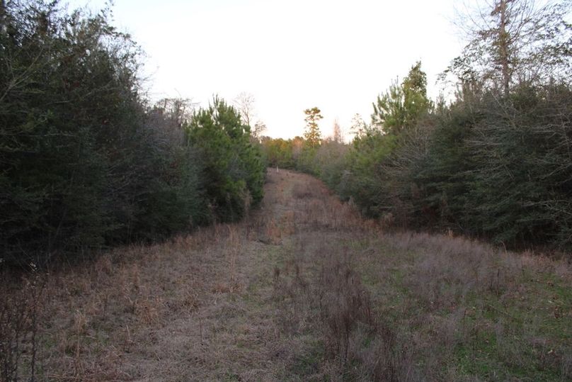 6E664FAB-3920-4B33-A6DD-805118EE299E_1_105_c