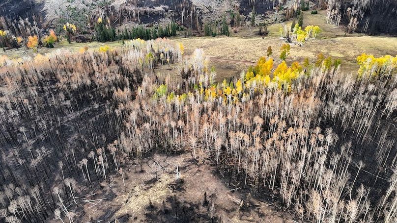 DJI_20250927082518_0021_D