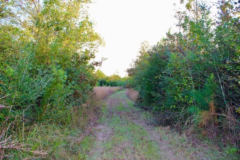 CBCAAFE2-43F0-4C07-B297-28D9A6EBD9B7_1_105_c