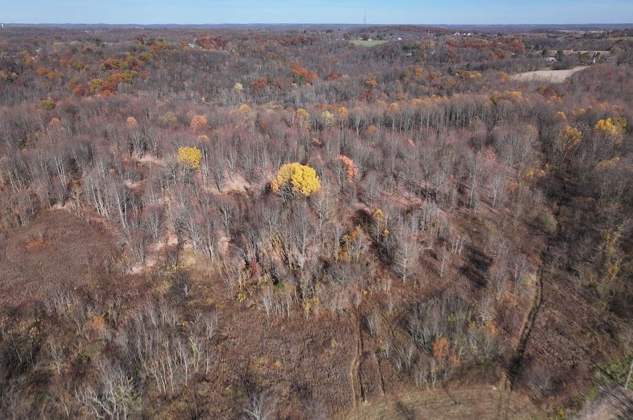 DJI_20241103140012_0335_D
