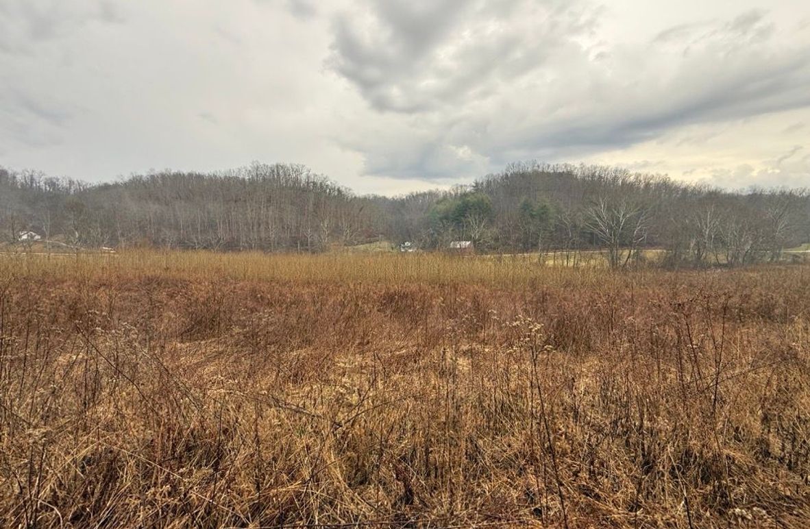 003 view of the open fields in the southeast area of the property