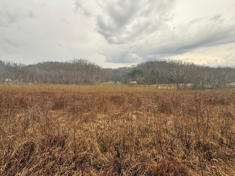 003 view of the open fields in the southeast area of the property
