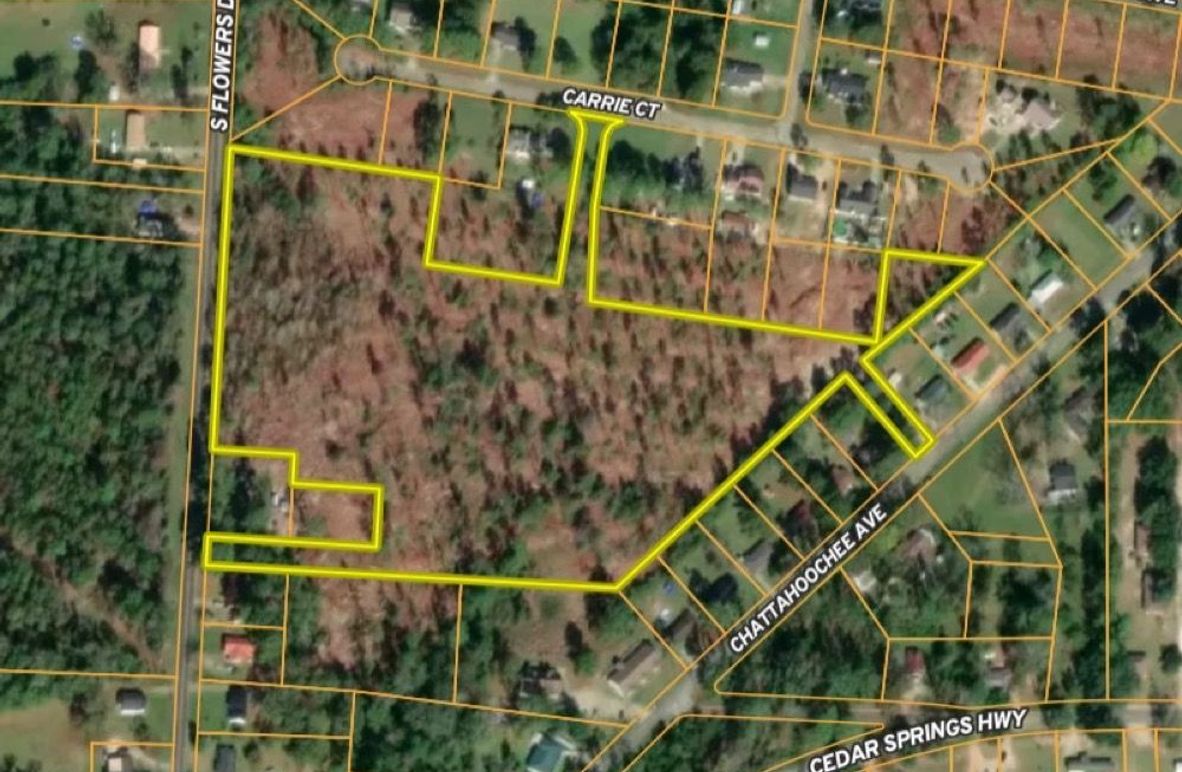 Early Co 13.06 Close Up