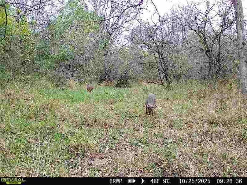 860322065236702-100-4-10252025092836-W1000307