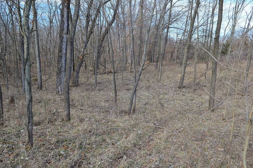 DSC_0310_inPixio (2)