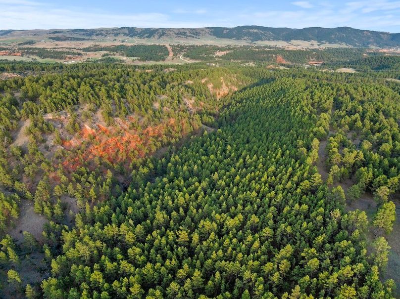 12-DJI_20250507190219_0808_D