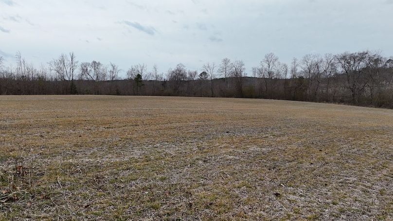 dji_fly_20260218_164602_0035_1771452055055_photo