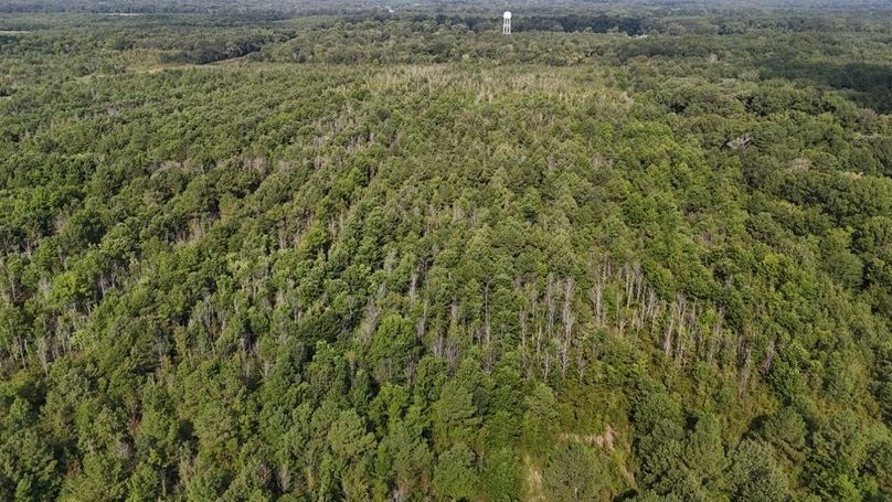 DJI_20250802224401_0568_D