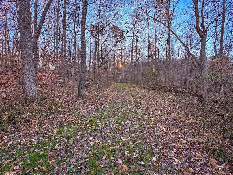 Pleasants_Wood 169.97 AC Cokeley-31