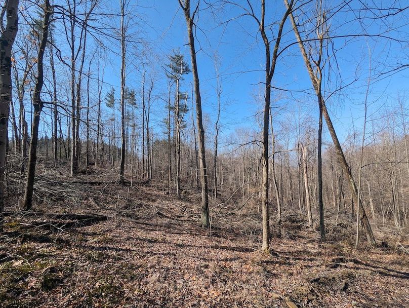 PXL_20240223_163847404