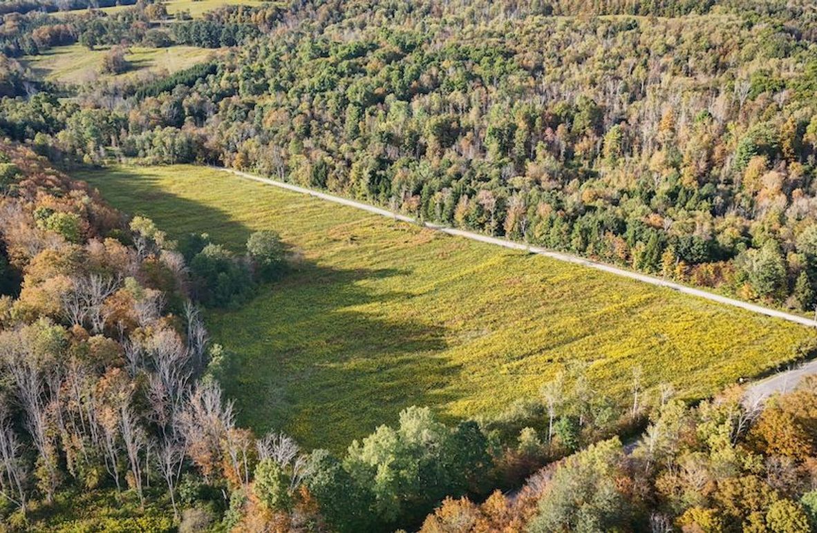 Tioga_30_Flanner Photo 1