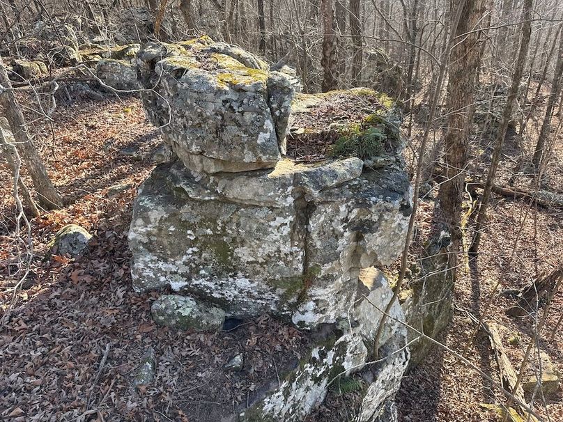 DJI_20260113_150739_426