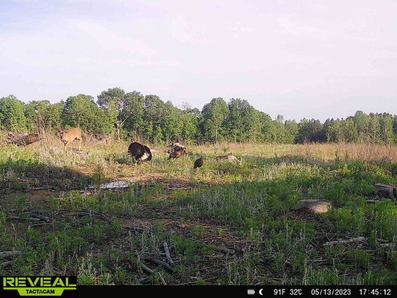 Copy of Prentiss County, MS 703-08