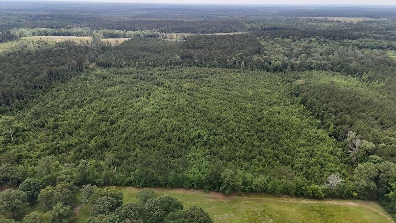 Copy of DJI_20250530005317_0559_D