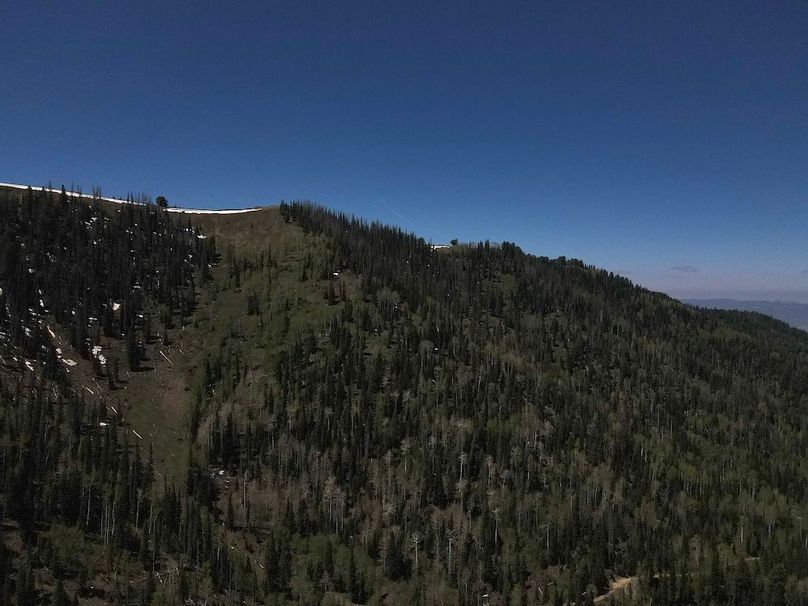 5 photo sanpete 795