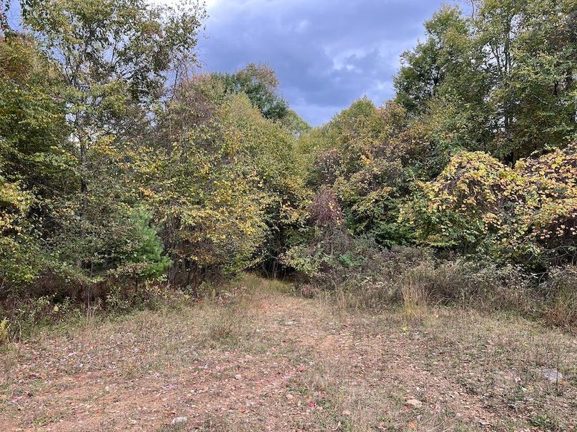 IMG_7533