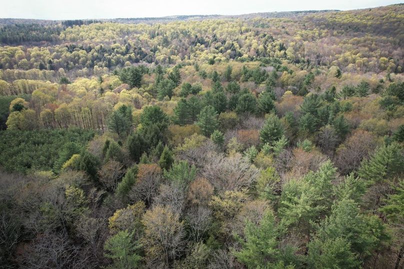 Tioga_76.65_Matyjas_Photos_33